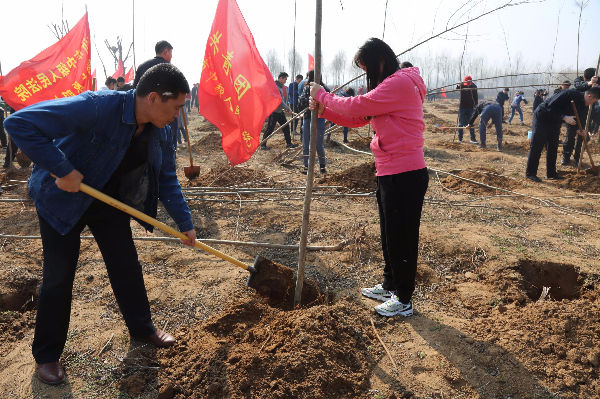 恒源熱力集團團委開展植樹活動