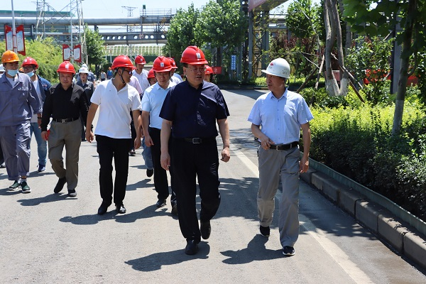 【重點項目推進(jìn)】王悅勤調(diào)研山東國銘 9MW光伏發(fā)電項目
