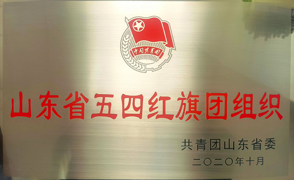 恒源熱力集團(tuán)團(tuán)委獲得 “山東省五四紅旗團(tuán)組織”榮譽(yù)稱號(hào)
